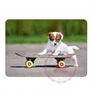 Hund mit Skateboard