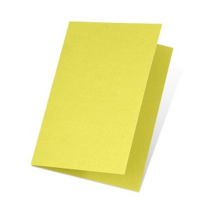 Faltkarte B6 Limette