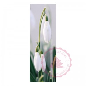 Foto Postkarte
